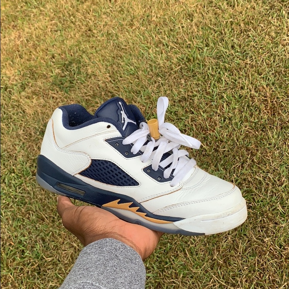Jordan 5 Dunk From Above